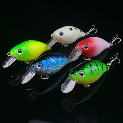 Fishing Bait, Tackle, and Gear Collection