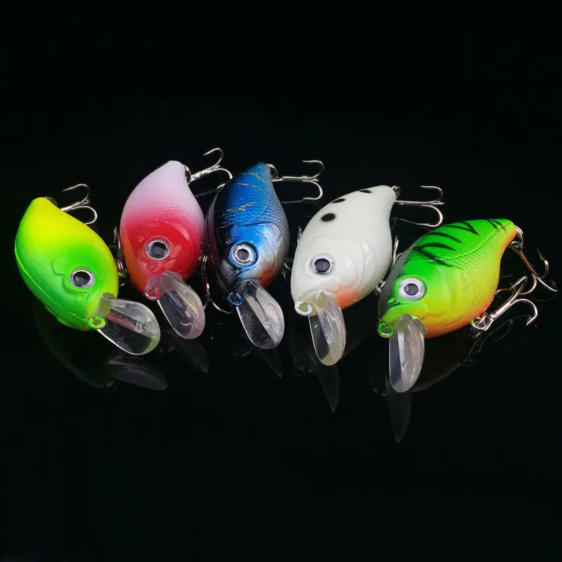 Fishing Bait, Tackle, and Gear Collection